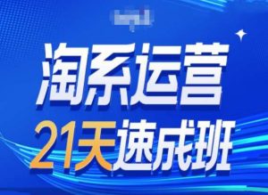 淘系运营24天速成班第28期最新万相台无界带免费流量-吾藏分享