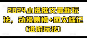 2024小说推文最新玩法，动漫剧情+图文标记(进阶玩法)-吾藏分享