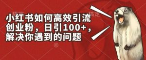 小红书如何高效引流创业粉，日引100+，解决你遇到的问题-吾藏分享