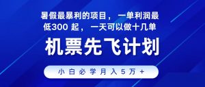 2024最新项目冷门暴利，整个暑假都是高爆发期，一单利润300+，每天可批量操作十几单-吾藏分享