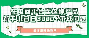 最新在电商平台发布这种产品，新手小白日入3000+不成问题，最详细赚钱教学-吾藏分享