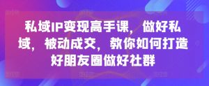 私域IP变现高手课，做好私域，被动成交，教你如何打造好朋友圈做好社群-吾藏分享