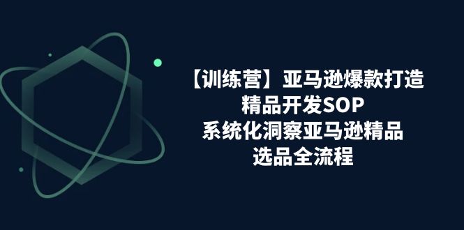 亚马逊爆款打造之精品开发SOP【训练营】，系统化洞察亚马逊精品选品全流程-吾藏分享