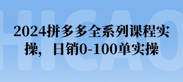 2024拼多多全系列课程实操，日销0-100单实操【必看】-吾藏分享