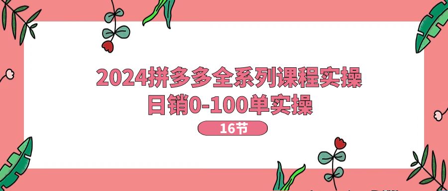 2024拼多多全系列课程实操，日销0-100单实操【16节课】-吾藏分享