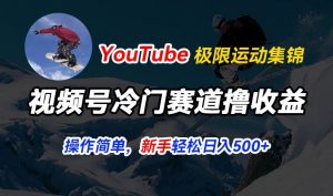 视频号冷门赛道撸收益，YouTube搬运极限运动集锦，暴力起号，操作简单流量高，轻松日入5张-吾藏分享