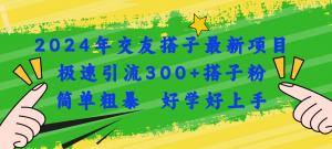 2024年交友搭子最新项目，极速引流300+搭子粉，简单粗暴，好学好上手-吾藏分享