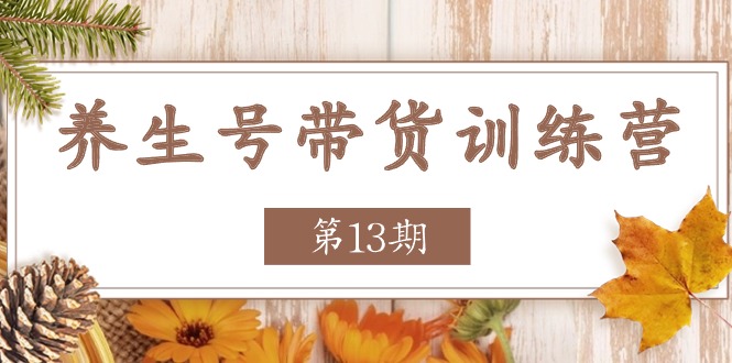 养生号-带货训练营【第13期】收益更稳定的玩法，让你带货收益爆炸-吾藏分享