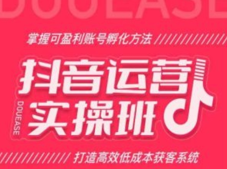 抖音运营实操班，掌握可盈利账号孵化方法，打造高效低成本获客系统-吾藏分享