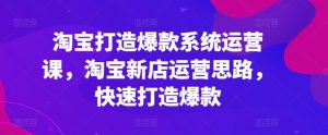 淘宝打造爆款系统运营课，淘宝新店运营思路，快速打造爆款-吾藏分享