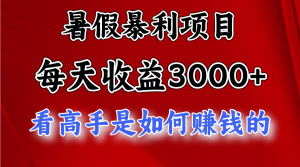 暑假暴力项目 1天收益3000+，视频号，快手，不露脸直播.次日结算-吾藏分享