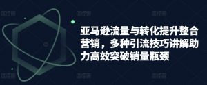 亚马逊流量与转化提升整合营销，多种引流技巧讲解助力高效突破销量瓶颈-吾藏分享