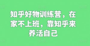 知乎好物训练营，在家不上班，靠知乎来养活自己-吾藏分享