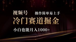 2024视频号冷门赛道掘金，操作简单轻松上手，小白也能月入1000+-吾藏分享