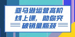 亚马逊运营高阶线上课，助你突破销量瓶颈-吾藏分享