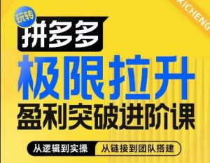 拼多多极限拉升盈利突破进阶课，​从算法到玩法，从玩法到团队搭建，体系化系统性帮助商家实现利润提升-吾藏分享