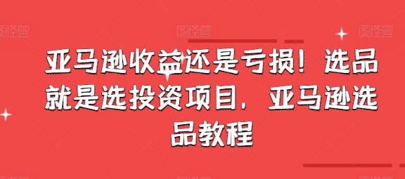 亚马逊收益还是亏损！选品就是选投资项目，亚马逊选品教程-吾藏分享