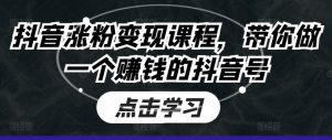 抖音涨粉变现课程，带你做一个赚钱的抖音号-吾藏分享