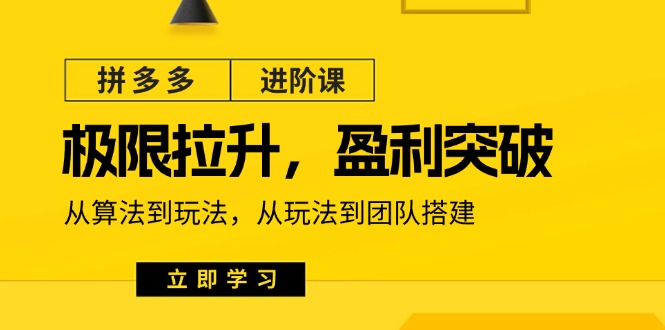 拼多多进阶课：极限拉升/盈利突破：从算法到玩法 从玩法到团队搭建（18节）-吾藏分享