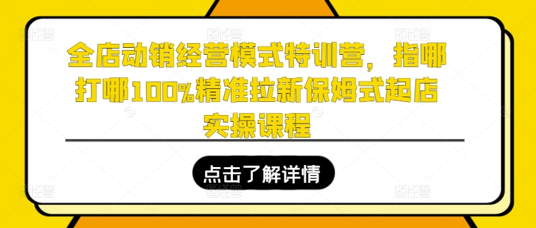 全店动销经营模式特训营，指哪打哪100%精准拉新保姆式起店实操课程-吾藏分享