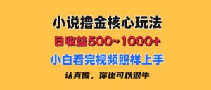 小说撸金核心玩法，日收益500-1000+，小白看完照样上手，0成本有手就行-吾藏分享