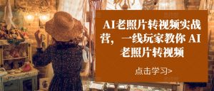 AI老照片转视频实战营，一线玩家教你AI老照片转视频-吾藏分享