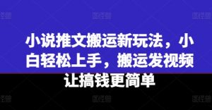 小说推文搬运新玩法，小白轻松上手，搬运发视频让搞钱更简单-吾藏分享