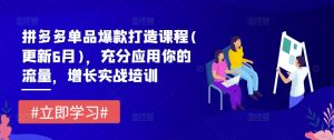 拼多多单品爆款打造课程(更新6月)，充分应用你的流量，增长实战培训-吾藏分享