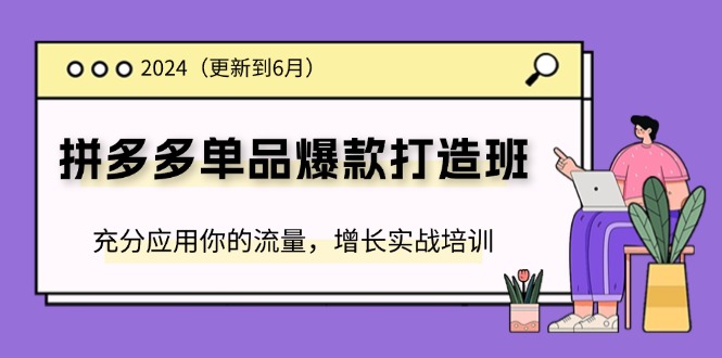 2024拼多多-单品爆款打造班(更新6月)，充分应用你的流量，增长实战培训-吾藏分享