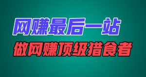 网赚最后一站，卖项目，做网赚顶级猎食者-吾藏分享