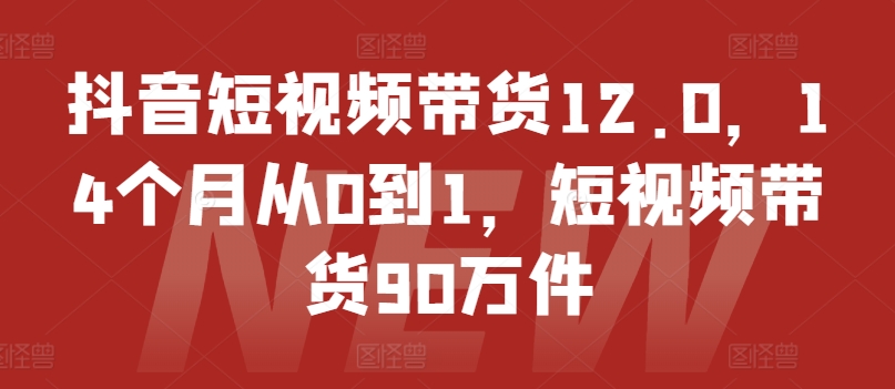 抖音短视频带货12.0，14个月从0到1，短视频带货90万件-吾藏分享