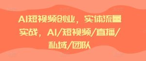 AI短视频创业，实体流量实战，AI/短视频/直播/私域/团队-吾藏分享