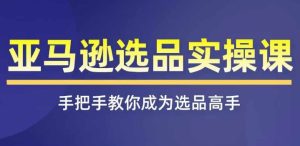 亚马逊选品实操课程，快速掌握亚马逊选品的技巧，覆盖亚马逊选品所有渠道-吾藏分享