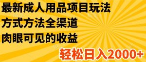 最新成人用品项目玩法，方式方法全渠道，肉眼可见的收益，轻松日入2000+-吾藏分享