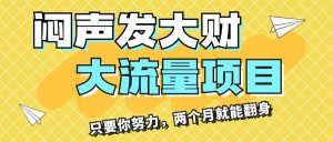 闷声发大财，大流量项目，月收益过3万，只要你努力，两个月就能翻身-吾藏分享