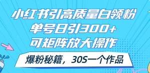 小红书引高质量白领粉，单号日引300+，可放大操作，爆粉秘籍！30s一个作品-吾藏分享