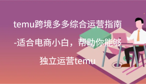 temu跨境多多综合运营指南-适合电商小白，帮助你能够独立运营temu(44节)-吾藏分享