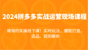 2024拼多多实战运营现场课，实时玩法，爆款打造，选品、规则解析，难得的实操线下课！-吾藏分享