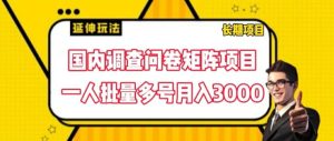 国内调查问卷矩阵项目，一人批量多号月入3000-吾藏分享