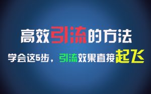 高效引流的方法，可以帮助你日引300+创业粉，一年轻松收入30万，比打工强太多！-吾藏分享