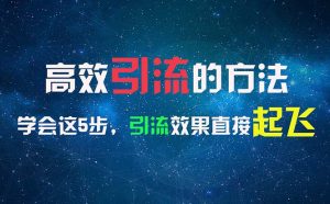 高效引流的方法，可以帮助你日引300+创业粉，一年轻松收入30万，比打工强-吾藏分享