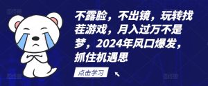 不露脸，不出镜，玩转找茬游戏，月入过万不是梦，2024年风口爆发，抓住机遇-吾藏分享