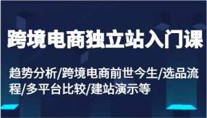 跨境电商独立站入门课：趋势分析/跨境电商前世今生/选品流程/多平台比较/建站演示等-吾藏分享