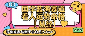 国学蓝海赋能赛道，零基础学习，手把手教学独一份新手小白月入1W+-吾藏分享