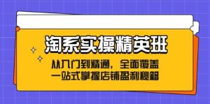 淘系实操精英班：从入门到精通，全面覆盖，一站式掌握店铺盈利秘籍-吾藏分享