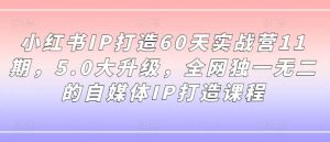 小红书IP打造60天实战营11期，5.0大升级，全网独一无二的自媒体IP打造课程-吾藏分享