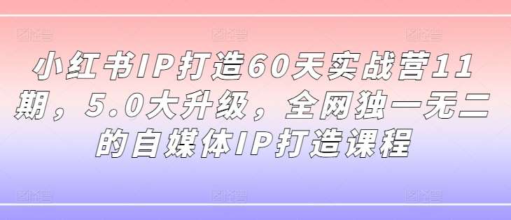 小红书IP打造60天实战营11期，5.0大升级，全网独一无二的自媒体IP打造课程-吾藏分享