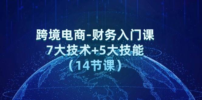 跨境电商-财务入门课：7大技术+5大技能（14节课）-吾藏分享