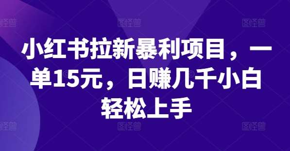 小红书拉新暴利项目，一单15元，日赚几千小白轻松上手【揭秘】-吾藏分享