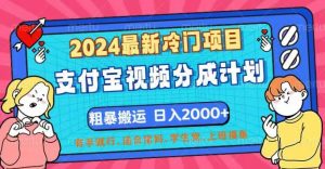 2024最新冷门项目！支付宝视频分成计划，直接粗暴搬运，日入2000+，有…-吾藏分享